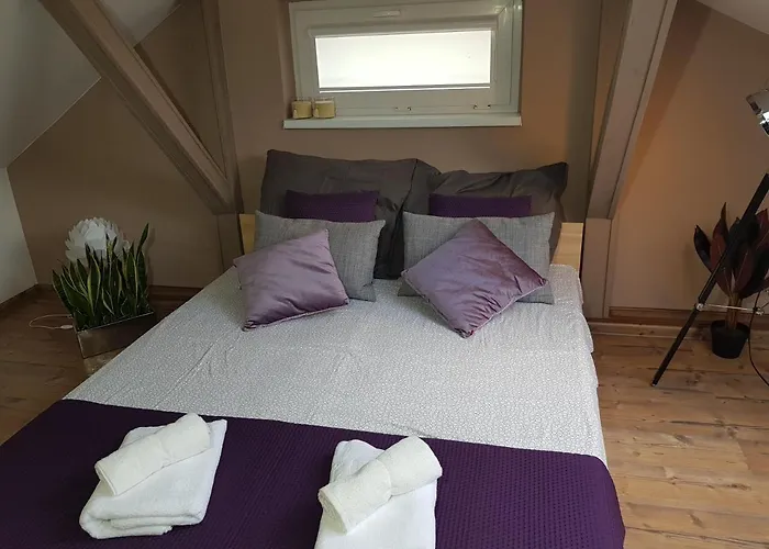 Blanca 드지비르지노