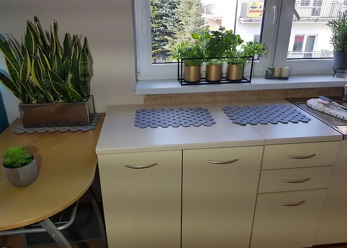 Blanca 3* 드지비르지노