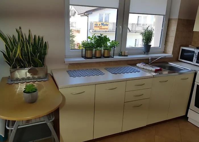 게스트하우스 Blanca 드지비르지노