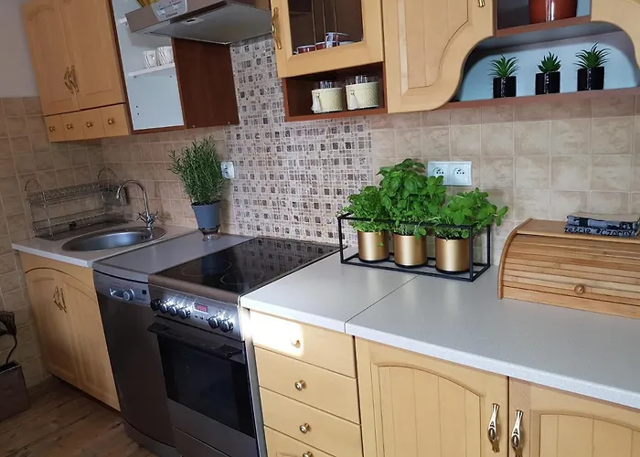 게스트하우스 Blanca 드지비르지노