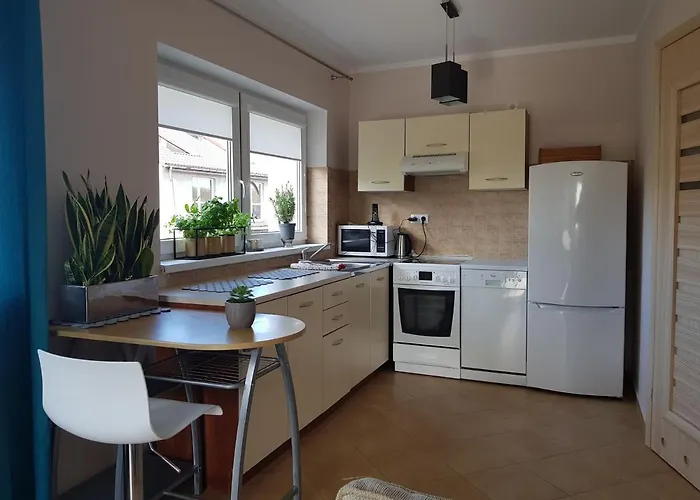 Blanca 3* 드지비르지노