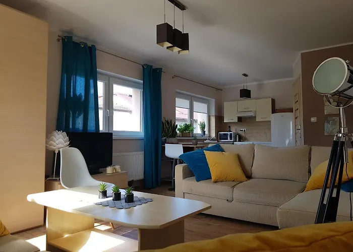 Blanca 드지비르지노